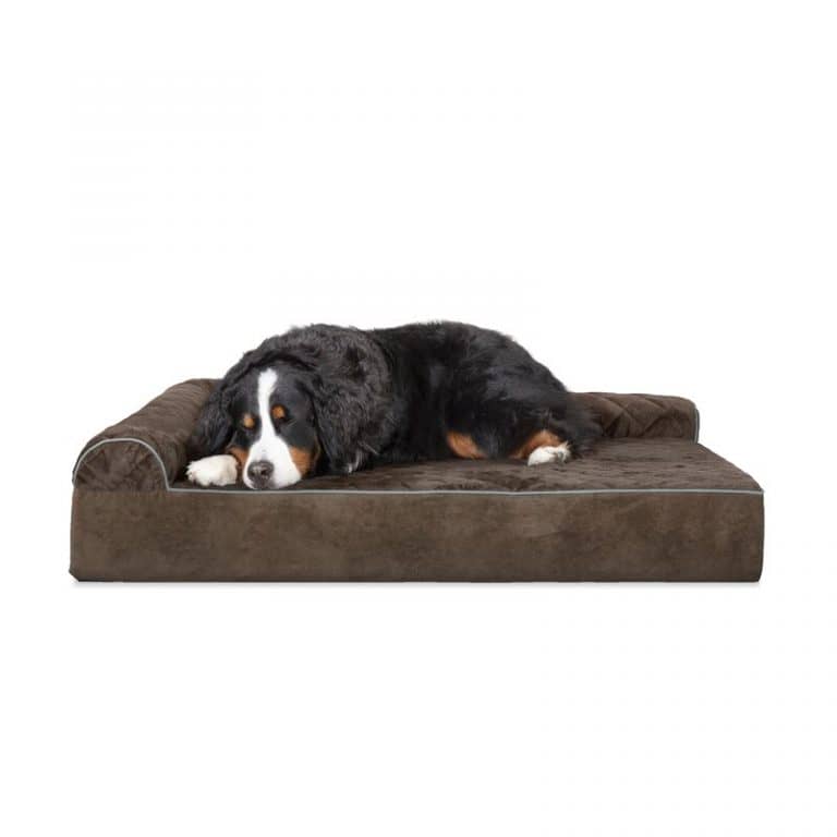 Top 10 Best Dog Beds for a Great Pyrenees (with Reviews) DogVills