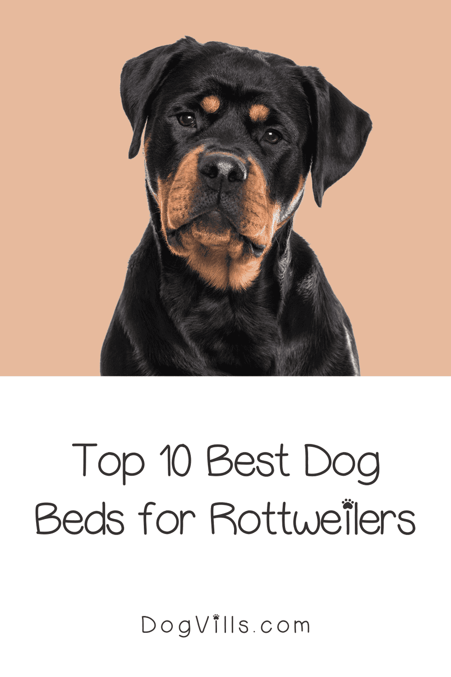 Top 10 Best Dog Beds for Rottweilers DogVills