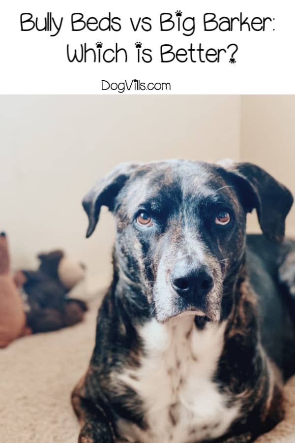 bully bed crate pad
