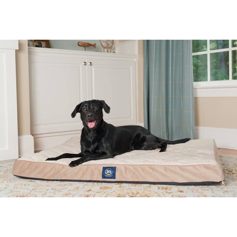 Why is Serta one of the best dog beds for a Great Pyrenees?