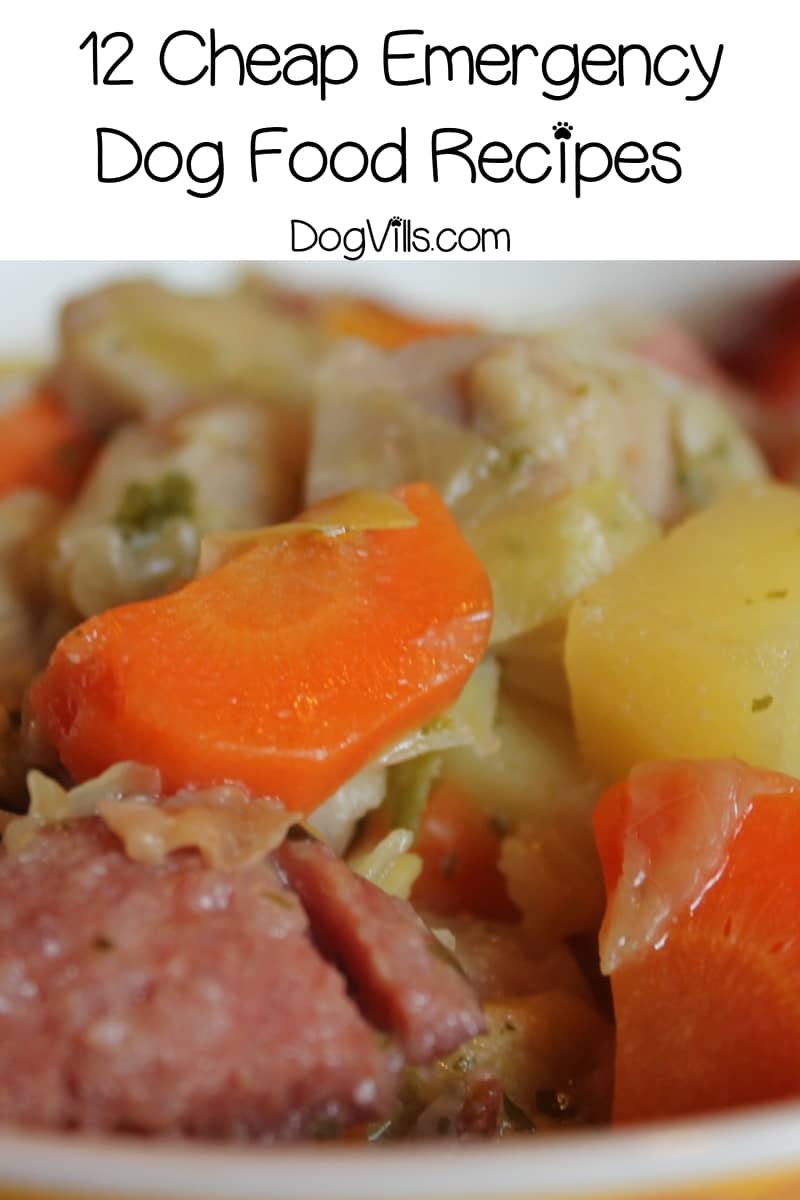 12 Cheap Dog Food Recipes to Try When Food is Scarce DogVills