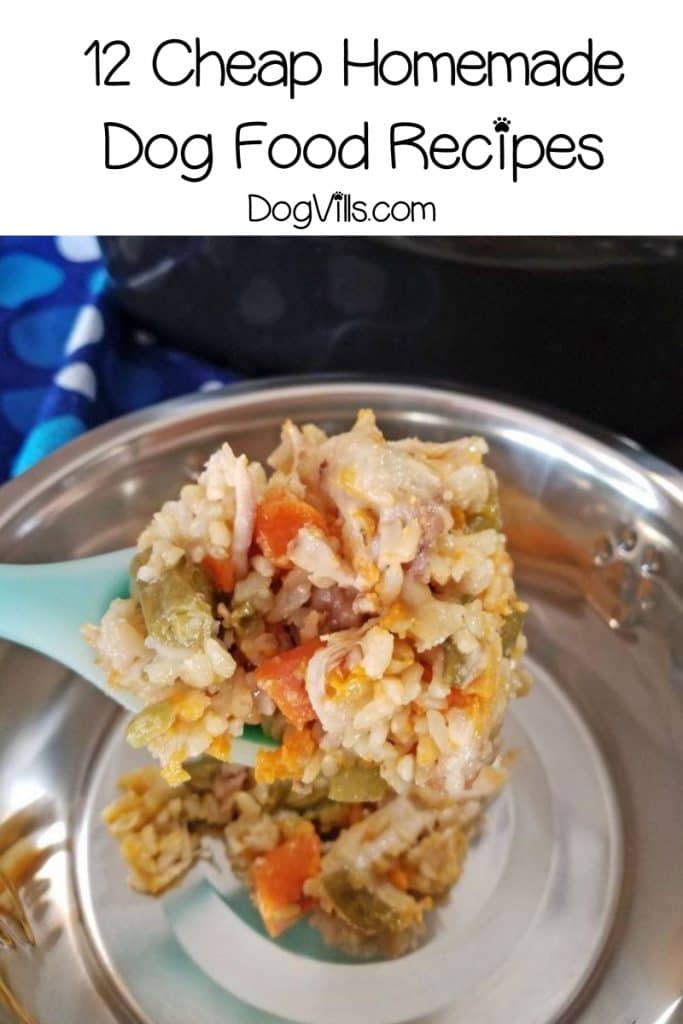 12 Cheap Dog Food Recipes to Try When Food is Scarce - DogVills