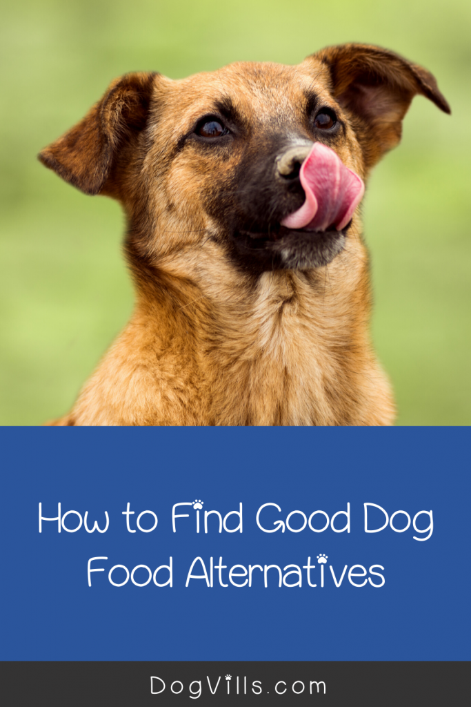 Today, we're going to talk about dog food alternatives for those times when your usual brand is gone. Read on for general tips and specific ideas.