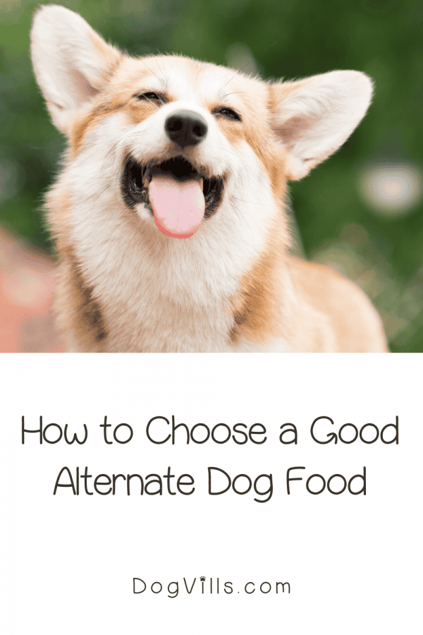 Dog Food Alternatives What to Buy When Your Usual Brand is Gone DogVills