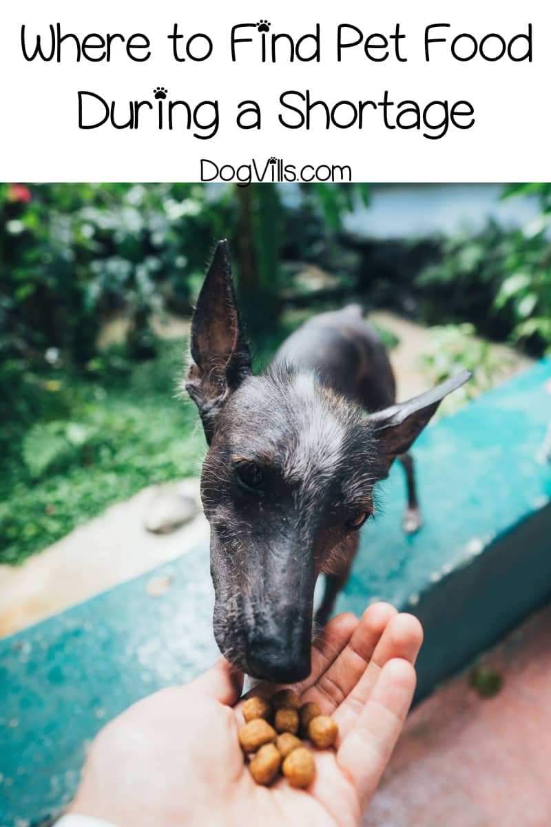 How to Find Pet Food During PanicDriven Shortages DogVills