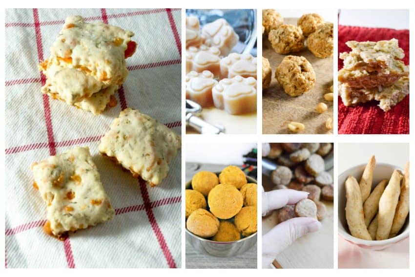 If you need some inexpensive ideas for training treats, check out these 25 irresistible (yet easy) homemade dog treat recipes!