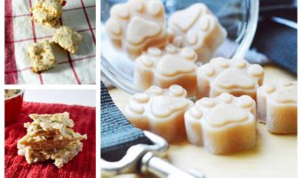 If you need some inexpensive ideas for training treats, check out these 25 irresistible (yet easy) homemade dog treat recipes!