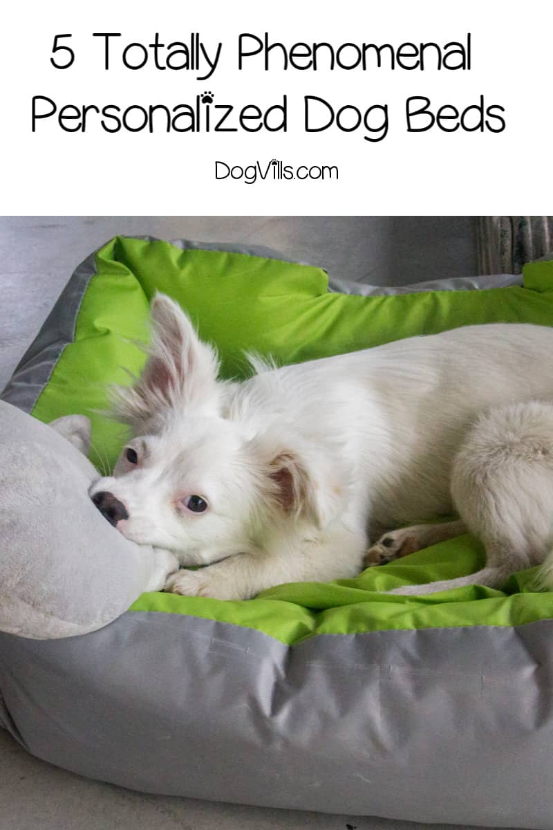 personalized dog beds