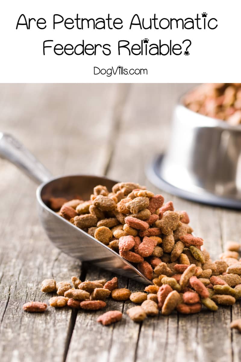 Are Petmate Automatic Feeders Reliable? Reviews) DogVills