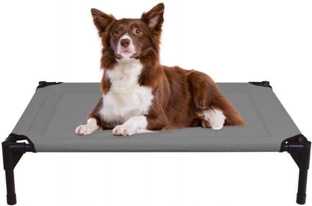 The 5 Best Elevated Dog Beds For Large Breeds DogVills the-5-best-elevated-dog-beds-for-large-breeds-dogvills