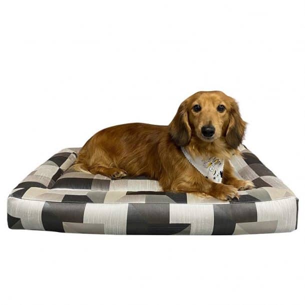 Top 5 Best Dog Beds for Cavapoos (with Complete Reviews)