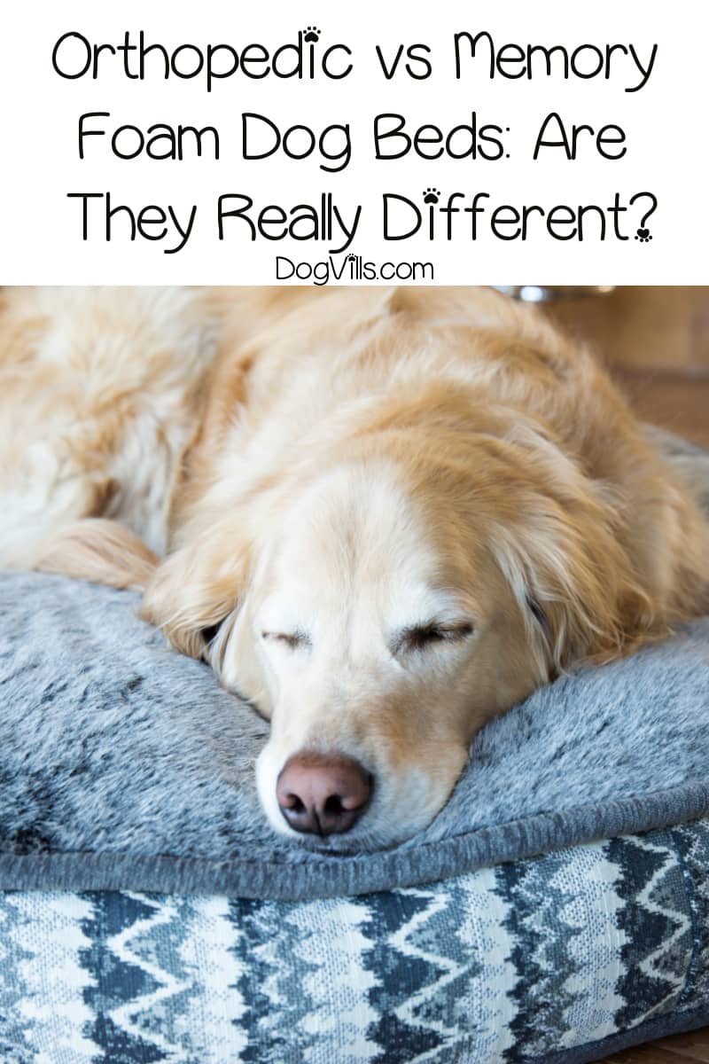 Orthopedic vs Memory Foam Dog Beds Are They Really Different? DogVills