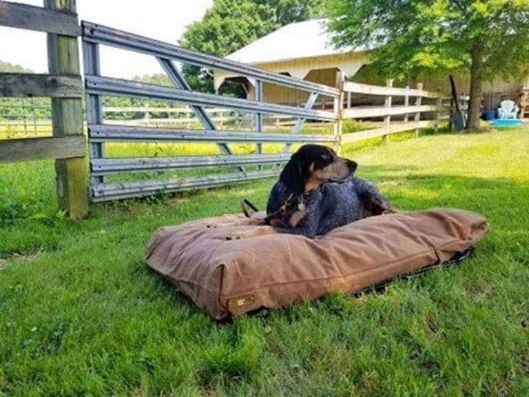 5 Incredible Handmade Dog Beds on Etsy DogVills