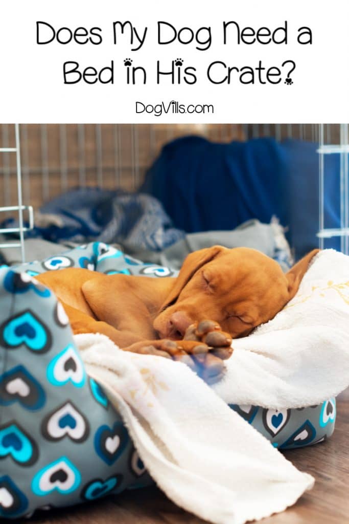 crate training in bedroom