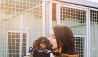 Dog names meaning second chance make for some of the most beautiful ideas for rescue dogs. Check out 84 of our favorites for male & female dogs.