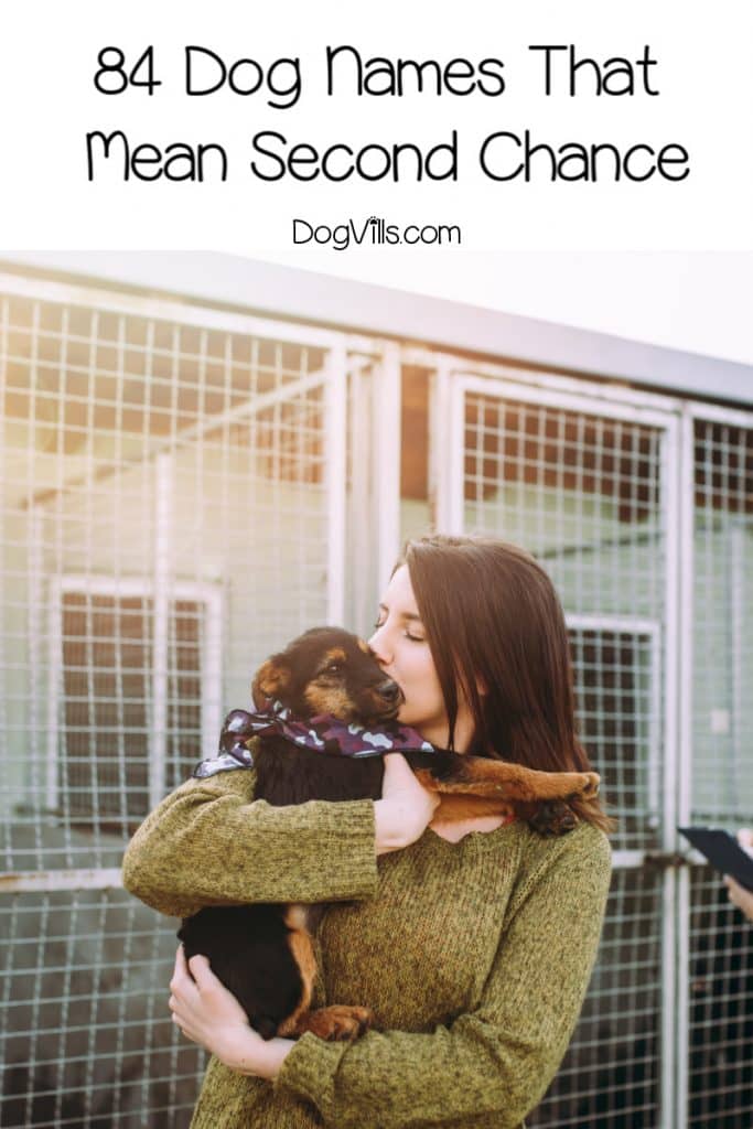 84 Beautiful Dog Names Meaning Second Chance DogVills