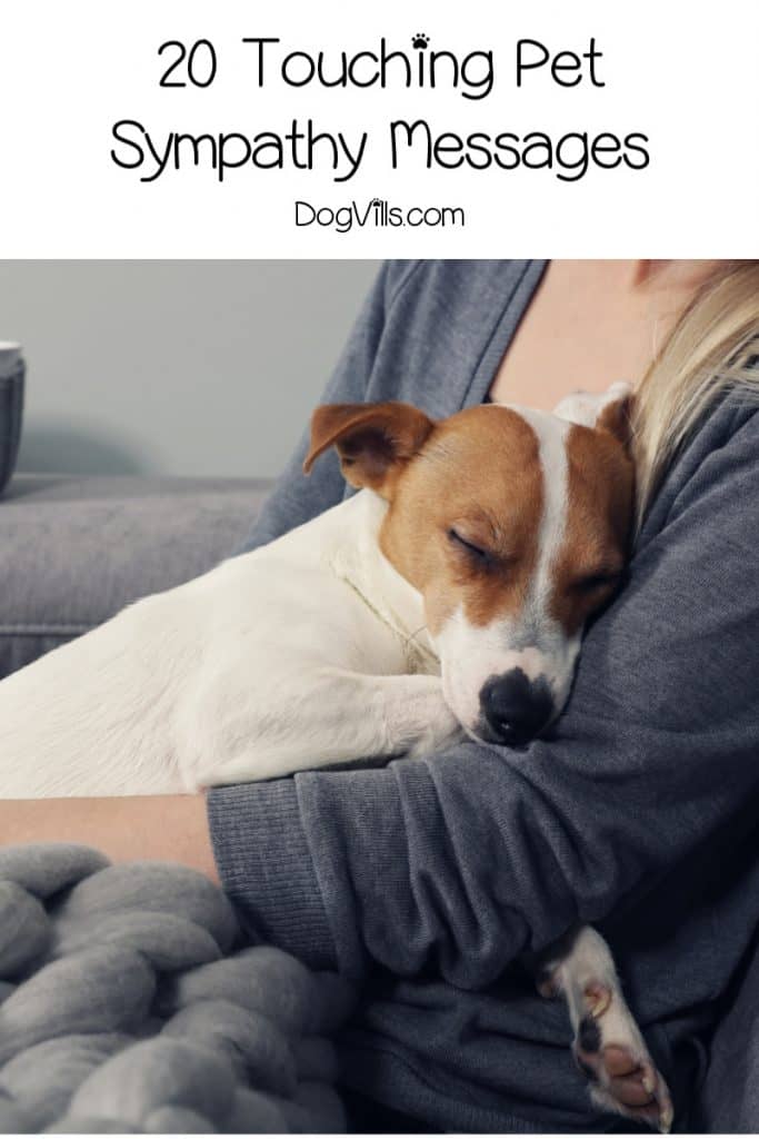 20 Touching Pet Sympathy Messages To Help Ease The Pain Of Loss DogVills