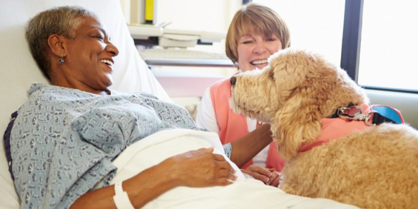 Should you get a puppy for a terminally ill relative? While dogs can lift our spirits, there are downsides, too. Look at the pros and cons.
