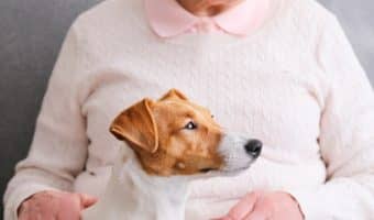 Should you get a puppy for a terminally ill relative? While dogs can lift our spirits, there are downsides, too. Look at the pros and cons.