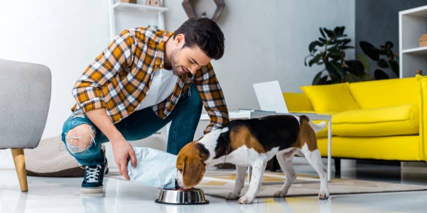 "Keto for dogs" is trending almost as hard as the human version of the carb-restrictive diet, but is it worth all the hype? Read on to find out!