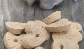 Looking for a complete Because Animals Noochies review to find out if they're really worth all the hype? Read on for our unbiased thoughts!