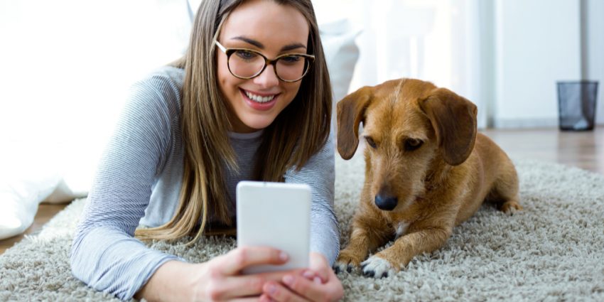 The best dog camera treat dispensers can help soothe your anxiety when away from your pet and be a blast to use. Check out our favorites!