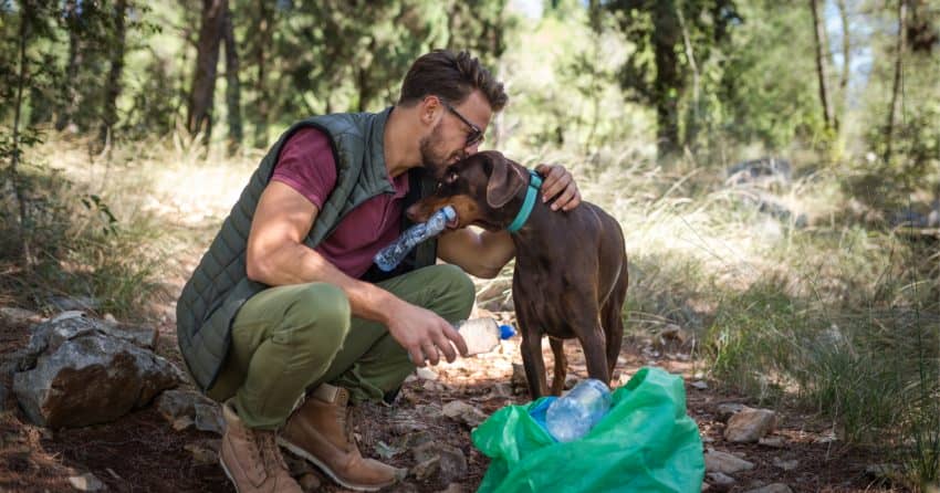 Want to save the planet while caring for your pup? Check out our favorite eco-friendly dog products that will help you do just that!