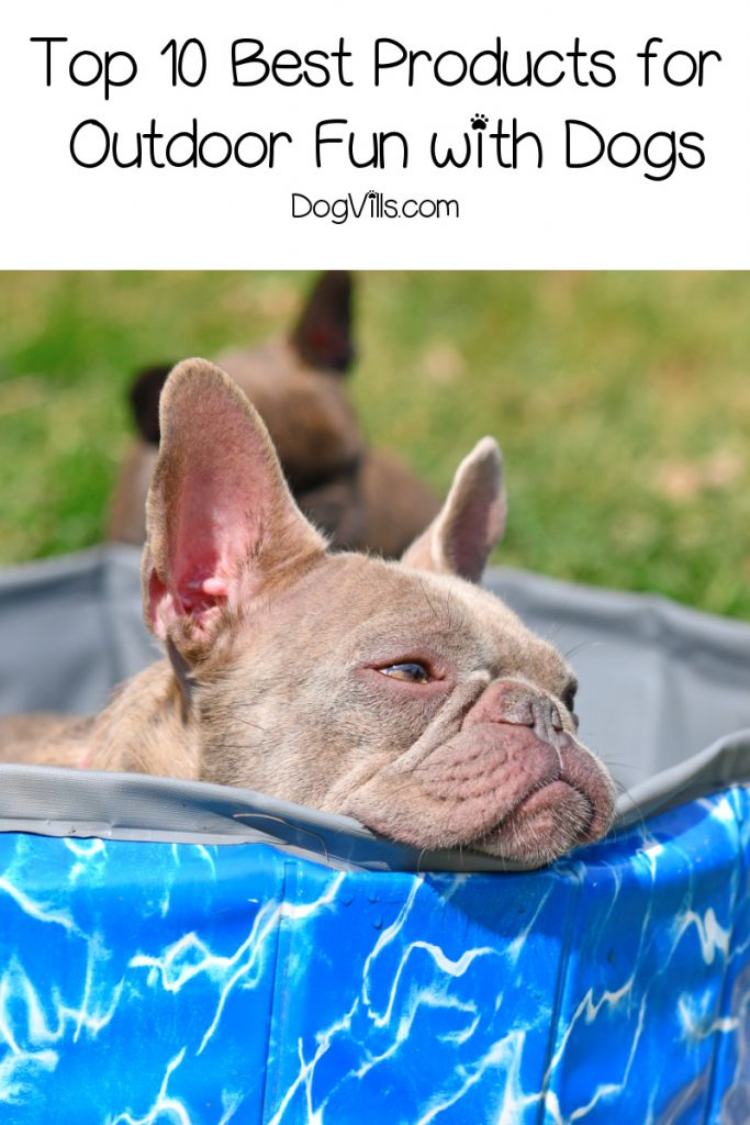 Get ready for the best products for outdoor fun with your dog! We've got you covered with everything from safety to swimming pools!