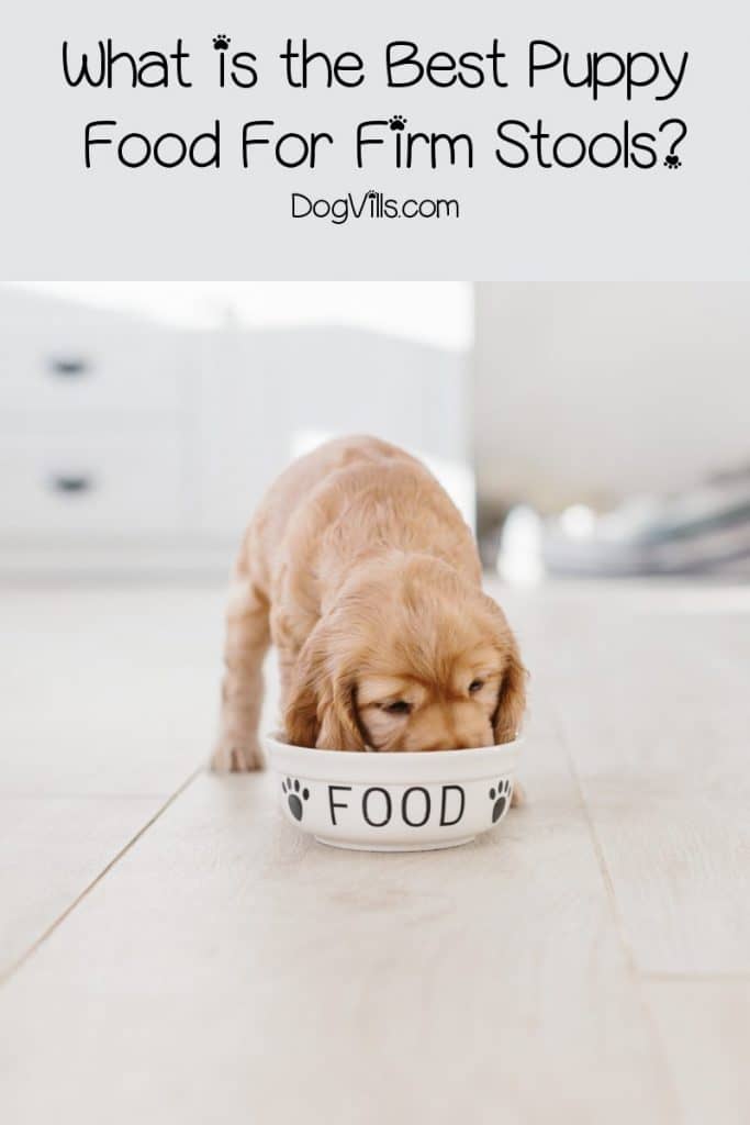 How to Choose the Best Puppy Food For Firm Stools
