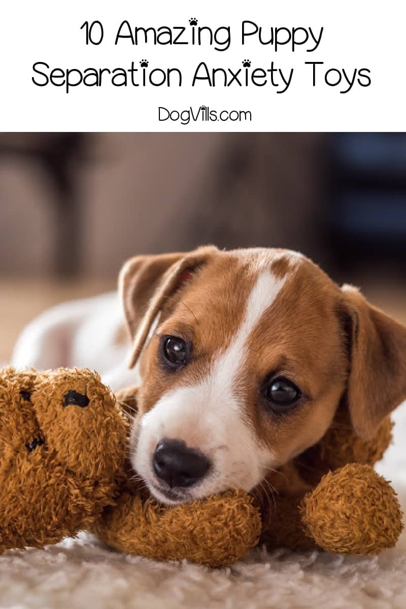 10 Amazing Puppy Separation Anxiety Toys to Soothe Your Dog's Stress