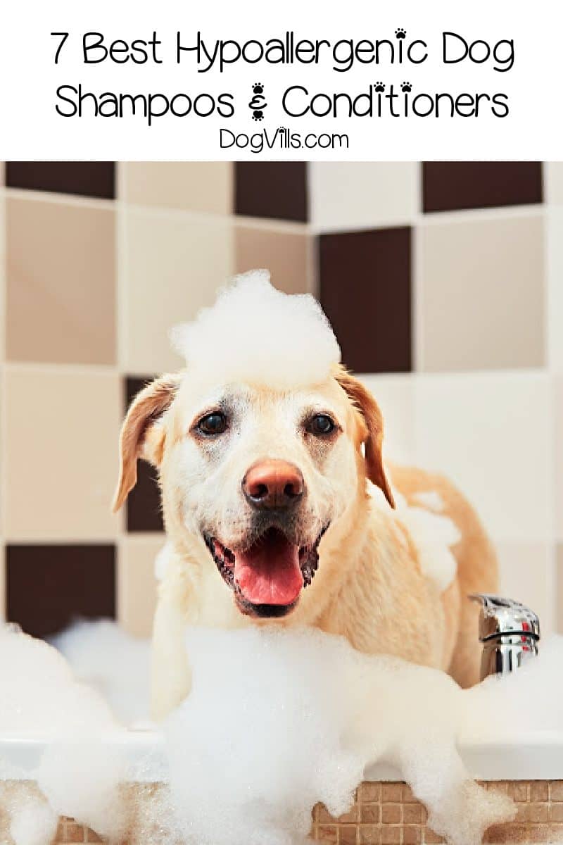 7 Best Hypoallergenic Dog Shampoos and Conditioners for Sensitive Skin