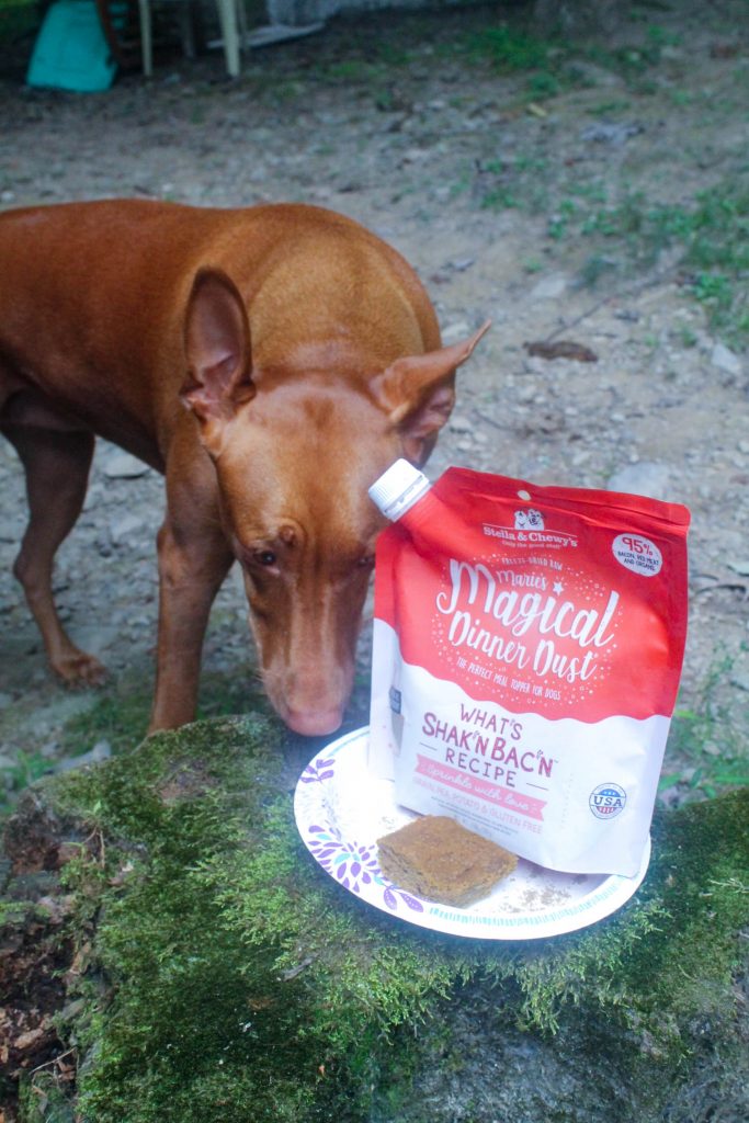 Thinking about trying out Stella and Chewy's Marie's Magical Dinner Dust but not sure if it's worth buying? Check out our full review!