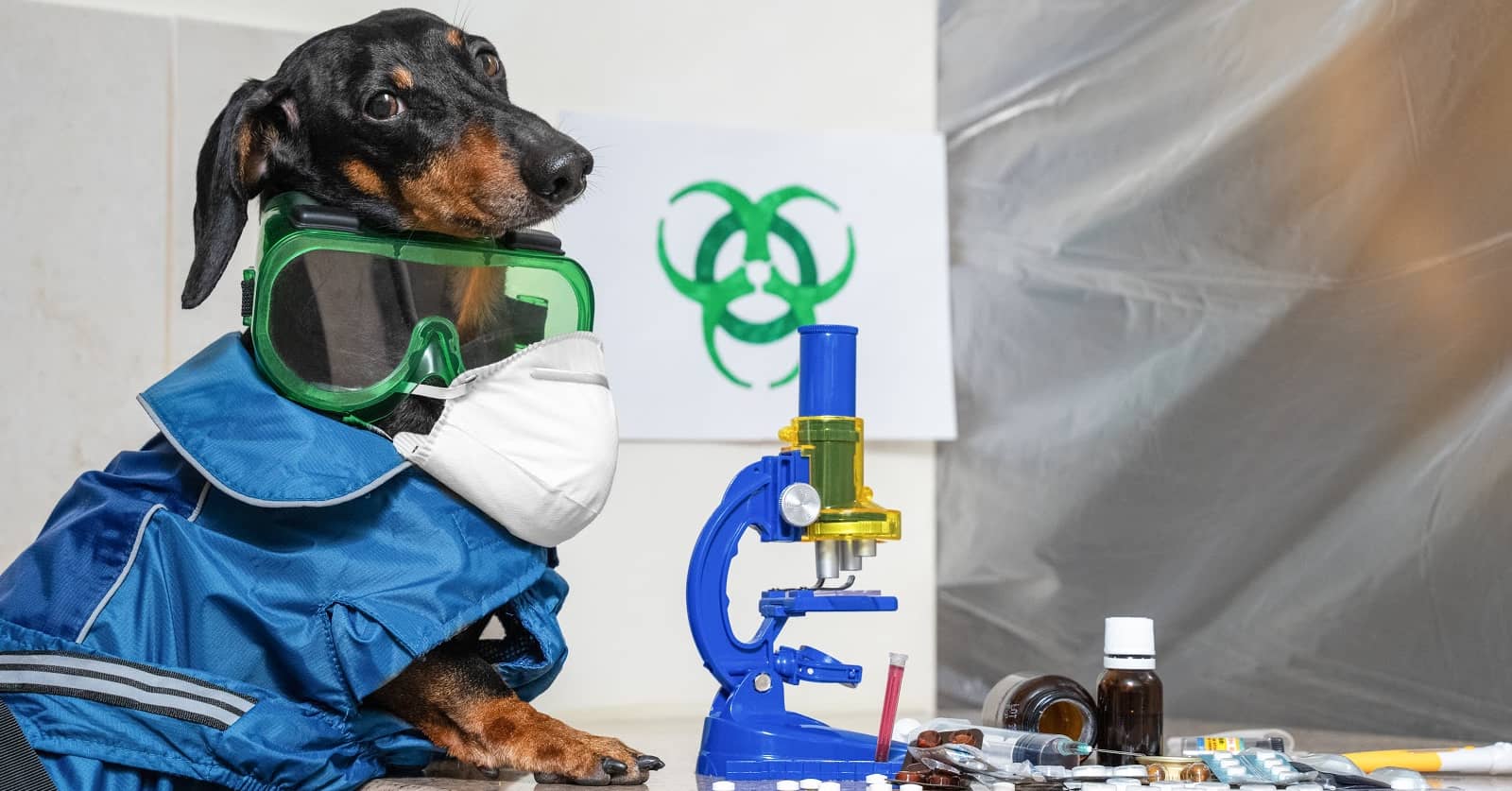 100 Totally Cool Chemistry Dog Names - DogVills