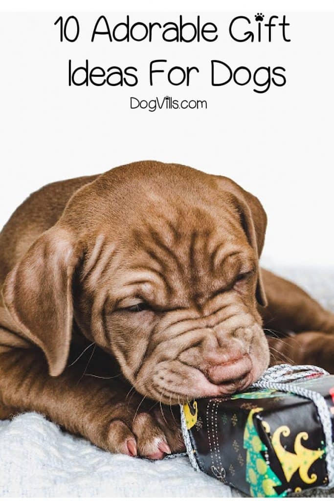 Cute Dog Gift Ideas