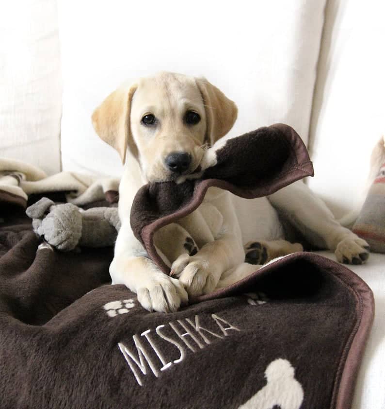 Personalized Dog Blanket