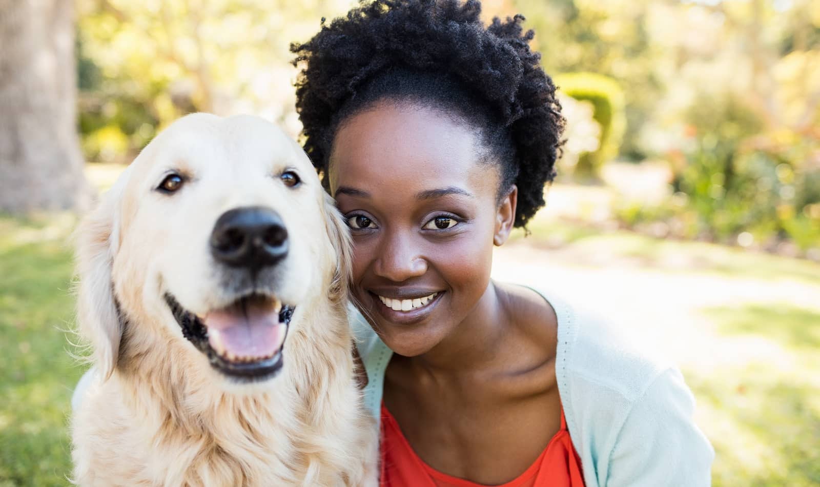 100 Beautiful African Dog Names with Meanings - http://www ... 100 Beautiful African Dog Names with Meanings - http://www ...