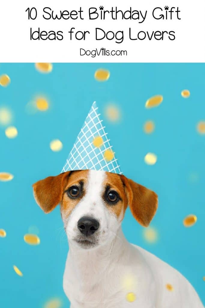 10 Sweet Birthday Gift Ideas for Dog Lovers http//www