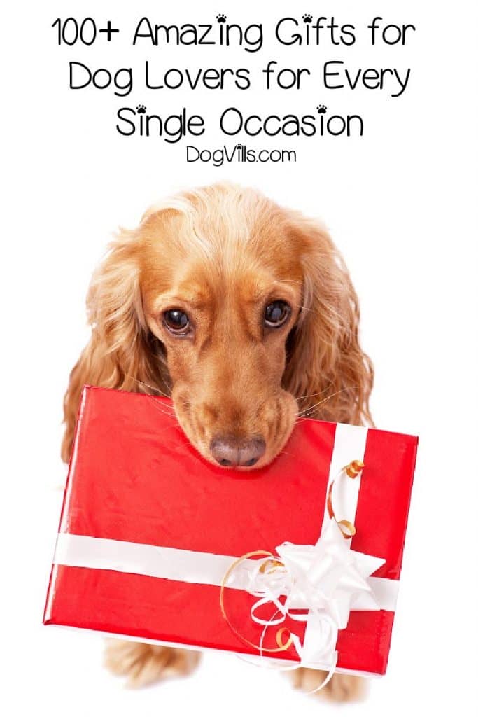 100+ Amazing Gifts for Dog Lovers for Every Single Occasion