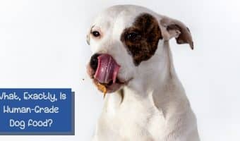 What Exactly Is Human-Grade Dog Food?