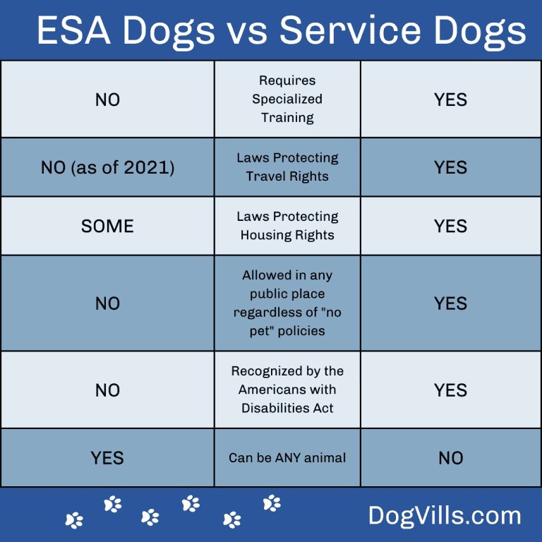 13 Frequently Asked Questions About Emotional Support Animals DogVills