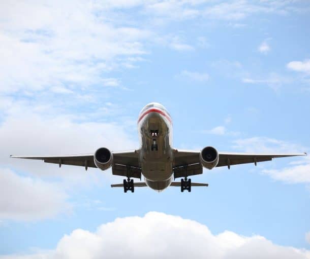 Are There Any Airlines That Allow ESA Dogs? DogVills