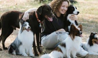 13 Frequently Asked Questions About Emotional Support Animals