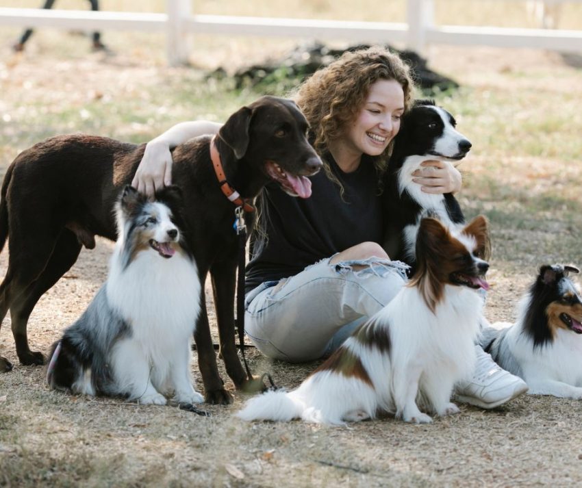 woman surrounded by emotional support animal dogs