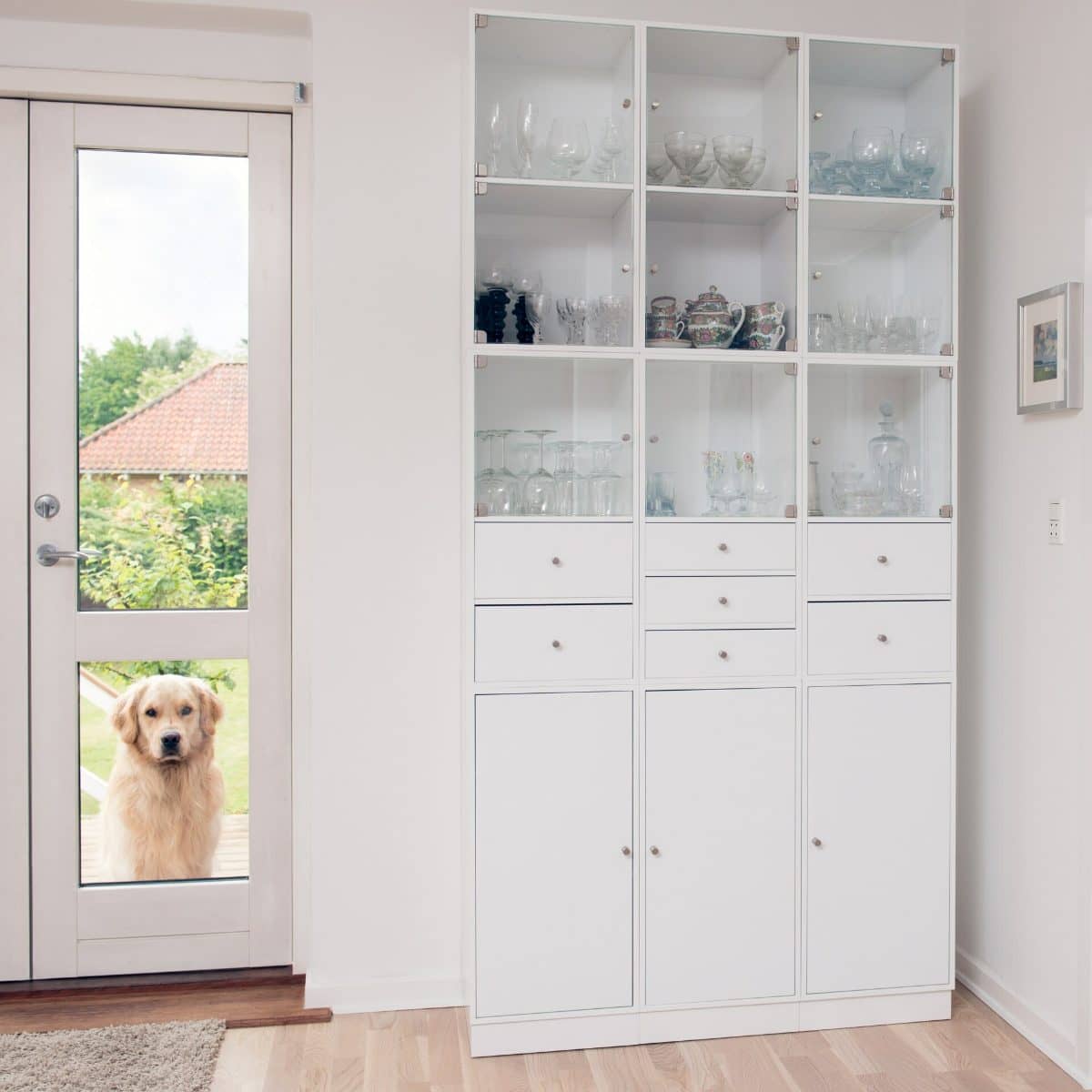 best electronic dog doors