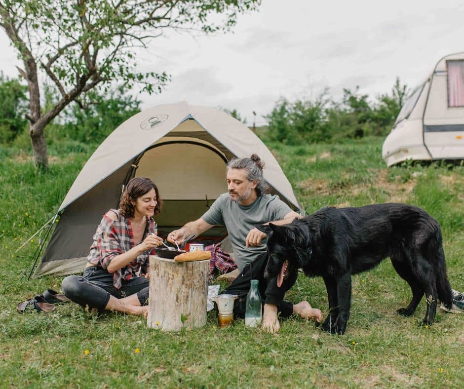 dog camping gear essentials