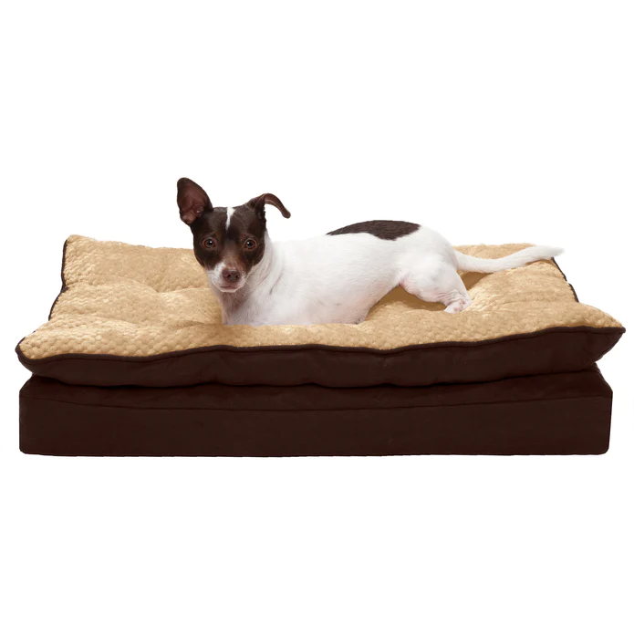 5 Best Furhaven Dog Beds for All Breeds & Needs