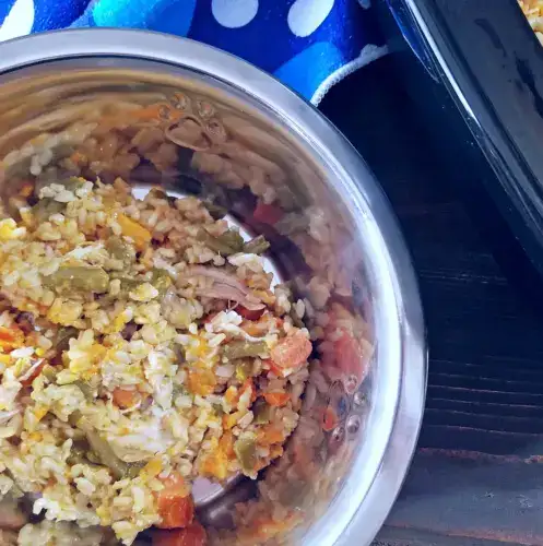 crockpot chicken dog food recipe