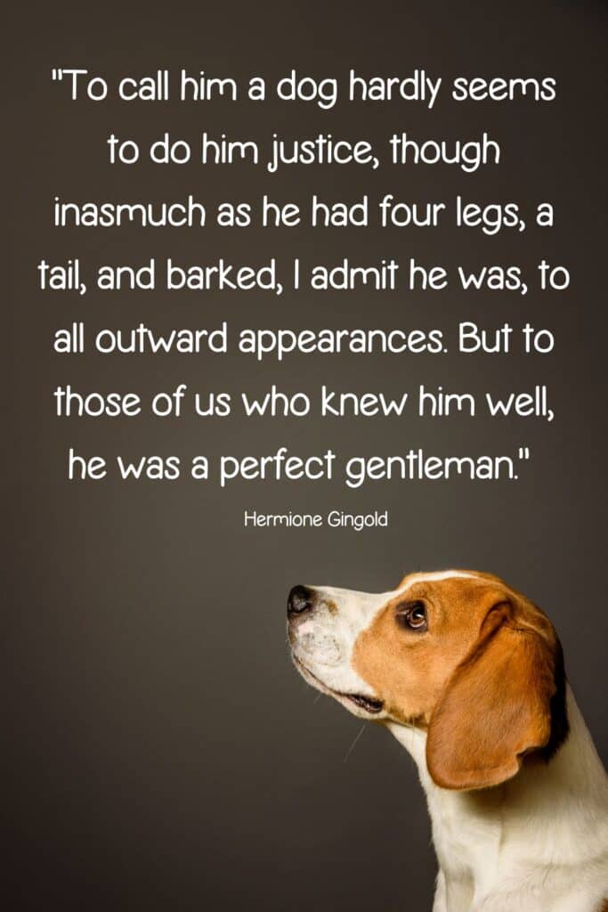 "To call him a dog hardly seems to do him justice, though inasmuch as he had four legs, a tail, and barked, I admit he was, to all outward appearances. But to those of us who knew him well, he was a perfect gentleman."