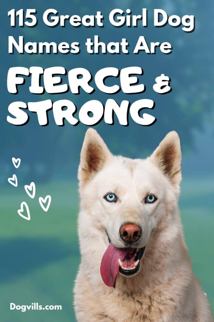 If you're looking for some fantastic strong female dog names and meanings, you'll adore our list! Check out 115 of the fiercest feminine names for your pup!