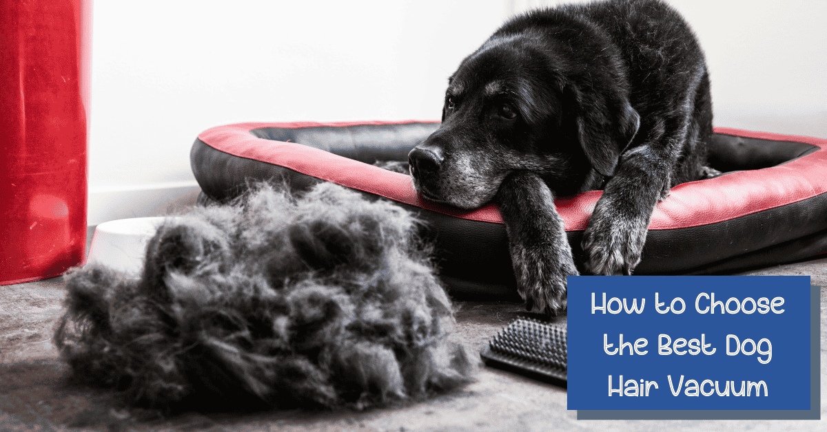 Top 5 Best Dog Hair Vacuums with Powerful Suction Action